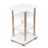 Beauty Salon Trolley Spa